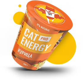 Cat energy с курицей